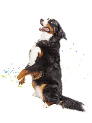 beratungen_03 beratungen_03